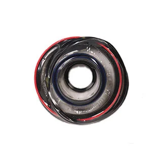 Seal Kit, Chief TC Tie-rod Cylinder: 2 Bore: 1.125 Rod Dia.